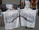 Carnevale 2005